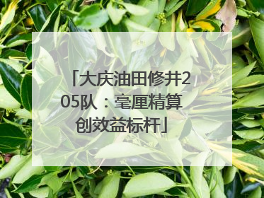 大庆油田修井205队：毫厘精算创效益标杆