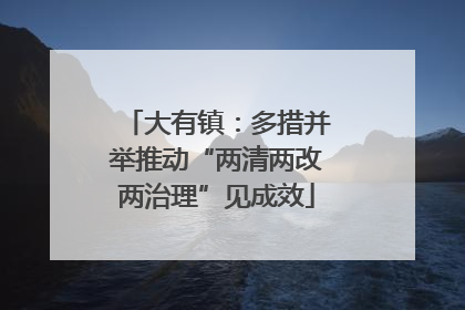 大有镇：多措并举推动“两清两改两治理”见成效