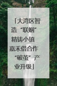 大湾区智造“联姻”精铸小镇 嘉禾借合作“破茧”产业升级
