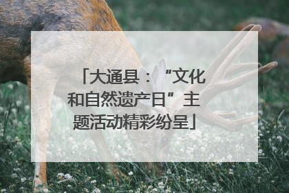 大通县：“文化和自然遗产日”主题活动精彩纷呈