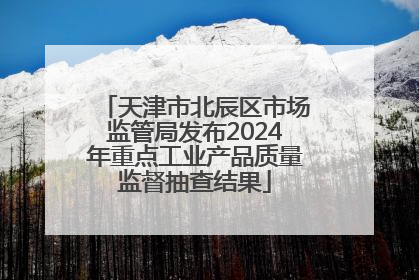 天津市北辰区市场监管局发布2024年重点工业产品质量监督抽查结果