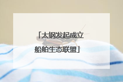 太钢发起成立船舶生态联盟