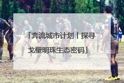 奔流城市计划丨探寻戈壁明珠生态密码