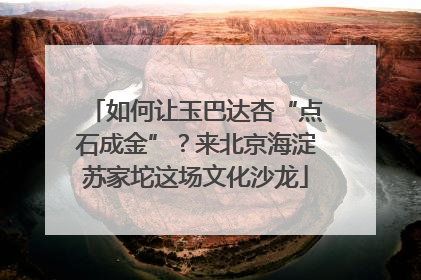 如何让玉巴达杏“点石成金”？来北京海淀苏家坨这场文化沙龙