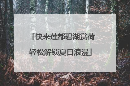 快来莲都碧湖赏荷 轻松解锁夏日浪漫