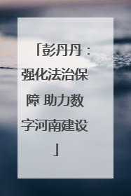 彭丹丹：强化法治保障 助力数字河南建设