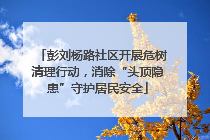 彭刘杨路社区开展危树清理行动，消除“头顶隐患”守护居民安全