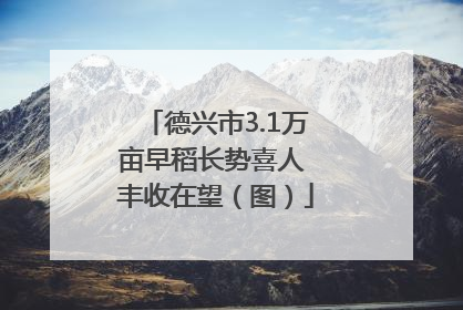 德兴市3.1万亩早稻长势喜人 丰收在望（图）