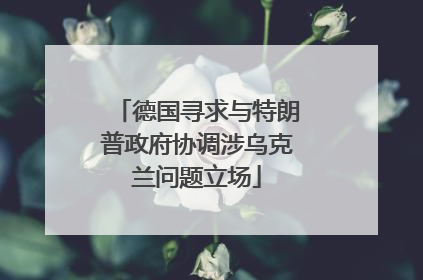 德国寻求与特朗普政府协调涉乌克兰问题立场