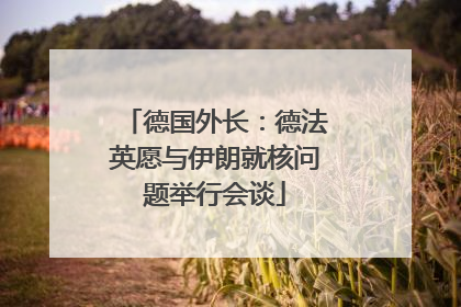 德国外长：德法英愿与伊朗就核问题举行会谈