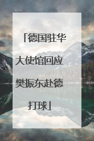 德国驻华大使馆回应樊振东赴德打球