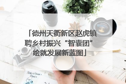 德州天衢新区赵虎镇聘乡村振兴“智囊团” 绘就发展新蓝图