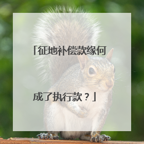 征地补偿款缘何成了执行款？