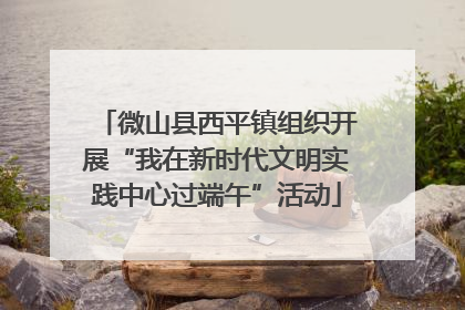 微山县西平镇组织开展“我在新时代文明实践中心过端午”活动