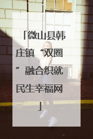 微山县韩庄镇“双圈”融合织就民生幸福网