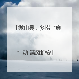 微山县：多措“廉”动 清风护安