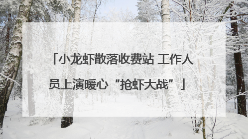 小龙虾散落收费站 工作人员上演暖心“抢虾大战”