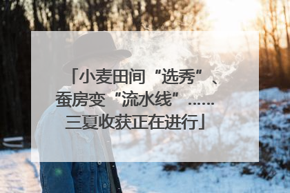 小麦田间“选秀”、蚕房变“流水线”……三夏收获正在进行
