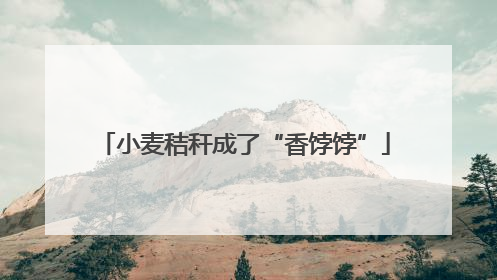 小麦秸秆成了“香饽饽”