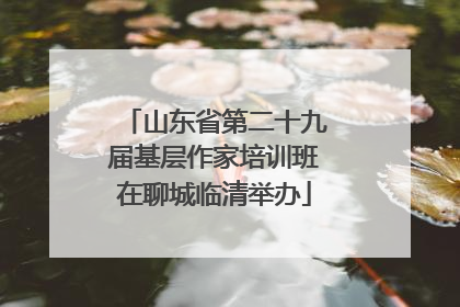山东省第二十九届基层作家培训班在聊城临清举办