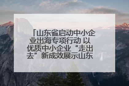 山东省启动中小企业出海专项行动 以优质中小企业“走出去”新成效展示山东产业发展新形象