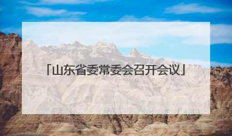 山东省委常委会召开会议