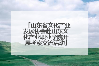 山东省文化产业发展协会赴山东文化产业职业学院开展考察交流活动