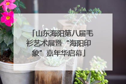 山东海阳第八届毛衫艺术展暨“海阳印象”嘉年华启幕