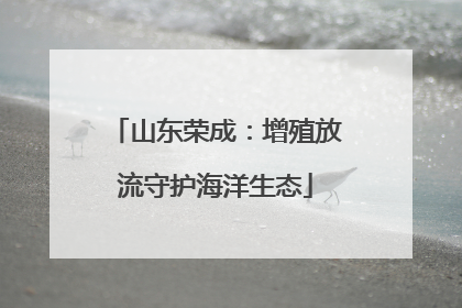 山东荣成：增殖放流守护海洋生态