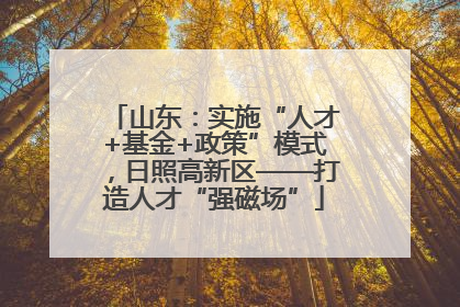 山东：实施“人才+基金+政策”模式，日照高新区——打造人才“强磁场”