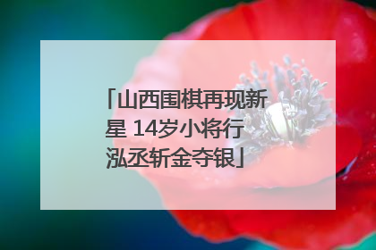 山西围棋再现新星 14岁小将行泓丞斩金夺银