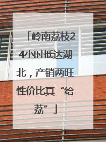 岭南荔枝24小时抵达湖北，产销两旺性价比真“给荔”