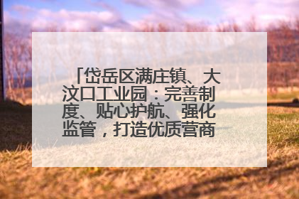 岱岳区满庄镇、大汶口工业园：完善制度、贴心护航、强化监管，打造优质营商“强磁场”