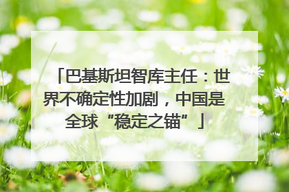 巴基斯坦智库主任：世界不确定性加剧，中国是全球“稳定之锚”