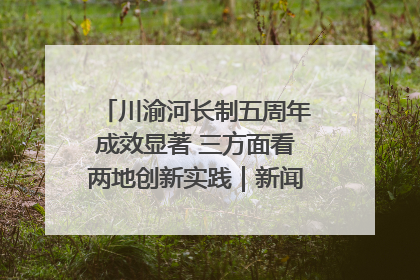 川渝河长制五周年成效显著 三方面看两地创新实践｜新闻发布最前线