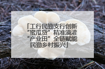 工行民勤支行创新“蜜瓜贷”精准滴灌“产业田”全链赋能民勤乡村振兴