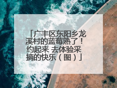 广丰区东阳乡龙溪村的蓝莓熟了！约起来 去体验采摘的快乐（图）