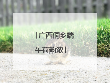 广西侗乡端午荷韵浓