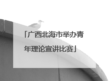 广西北海市举办青年理论宣讲比赛