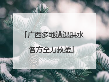广西多地遭遇洪水 各方全力救援
