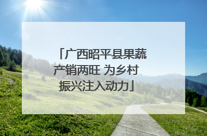 广西昭平县果蔬产销两旺 为乡村振兴注入动力