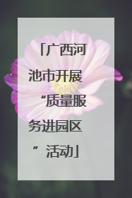 广西河池市开展“质量服务进园区”活动