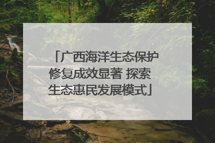广西海洋生态保护修复成效显著 探索生态惠民发展模式