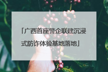 广西首座警企联建沉浸式防诈体验基地落地