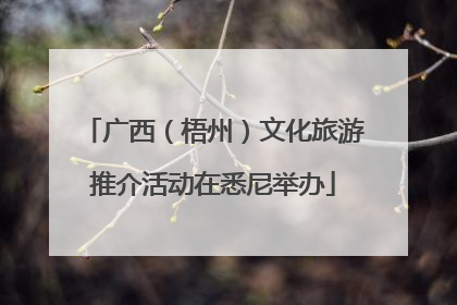 广西（梧州）文化旅游推介活动在悉尼举办