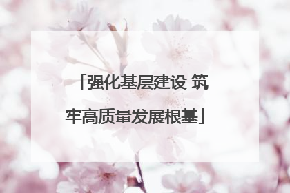 强化基层建设 筑牢高质量发展根基