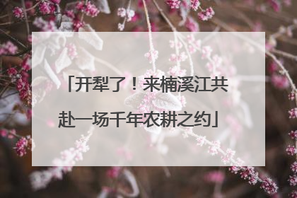 开犁了！来楠溪江共赴一场千年农耕之约
