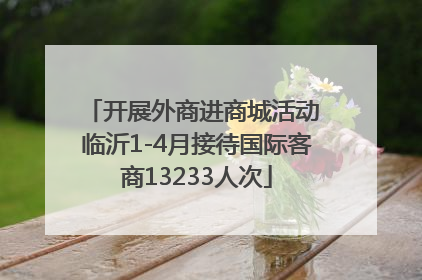 开展外商进商城活动 临沂1-4月接待国际客商13233人次