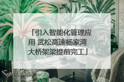 引入智能化管理应用 武松高速杨家湾大桥架梁提前完工
