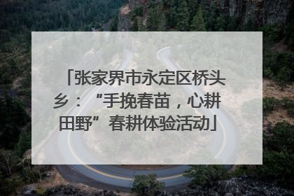 张家界市永定区桥头乡：“手挽春苗，心耕田野”春耕体验活动